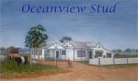 Oceanview Stud